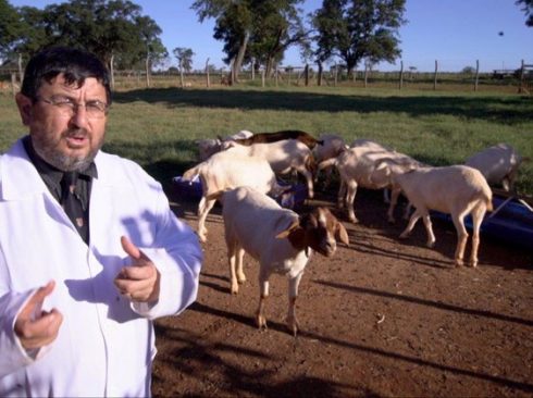 Foto: Nik Wood / CEVA