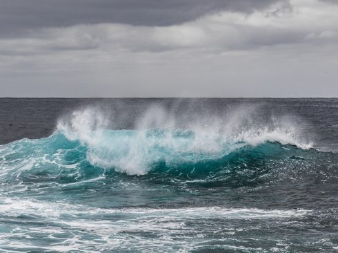 08.06.2020_Oceanos_biodiversidades_alerta_PixAbay