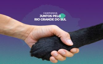 Campanha Juntos pelo Rio Grande do Sul
