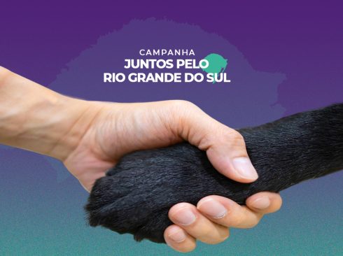 Campanha Juntos pelo Rio Grande do Sul