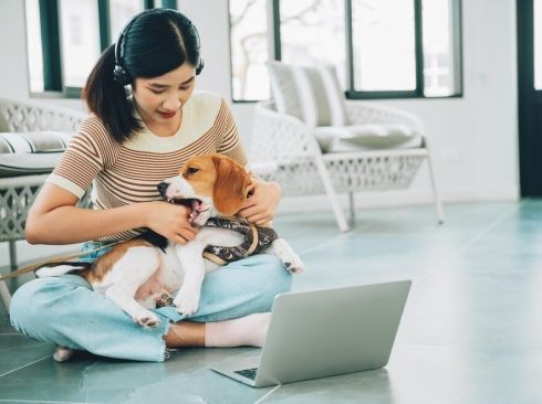 Uma mulher está sentado no chão, com o seu cachorro no colo, em atendimento virtual pelo computador.