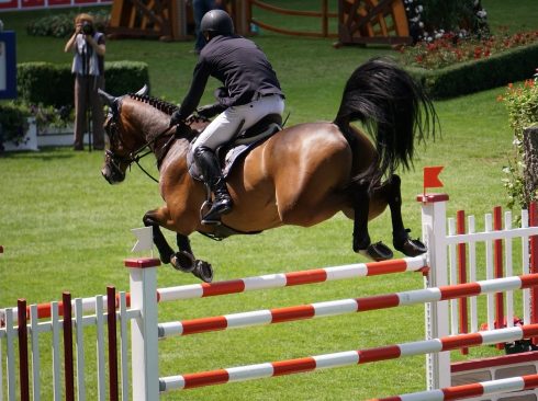 10.11.2021_Entidades_assinam_acordo_para_garantir_bem-estar_em_atividades_culturais_e_esportivas_Pixabay