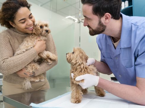 11.01.2023_Medicina_Veterinaria_Sistemica_crédito Freepik