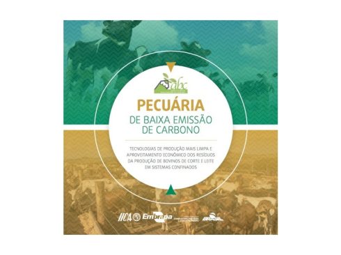 Foto: Divulgação Mapa