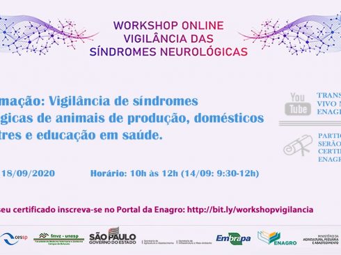 12.09.20_Workshop reúne profissionais para debater a vigilância das Síndromes Neurológicas