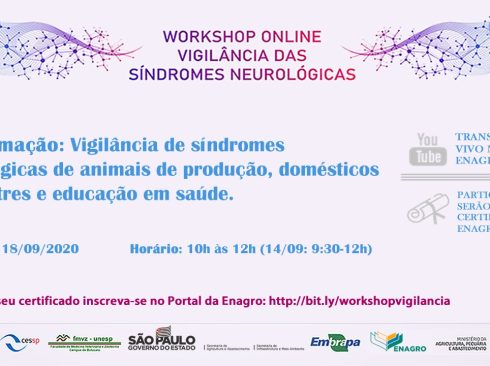 12.09.20_Workshop reúne profissionais para debater a vigilância das Síndromes Neurológicas