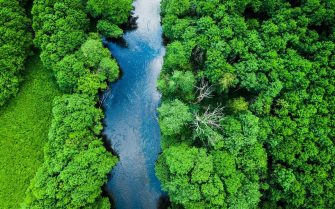 Foto: Adobe Stock