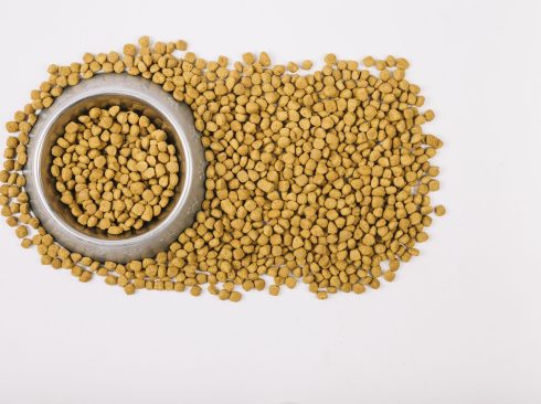 18.05.2020_Alimentação_animal_registro_estabelecimentos_produtos_on-line.jpeg