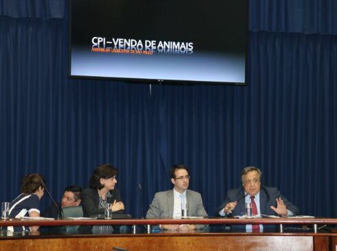 Legenda: Mário Eduardo Pulga, presidente do CRMV-SP, durante sua apresentação na CPI