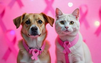 cachorra e gata usando laço rosa que simboliza a luta contra o câncer de mama. Ao fundo, vários laços rosas, símbolo da campanha.