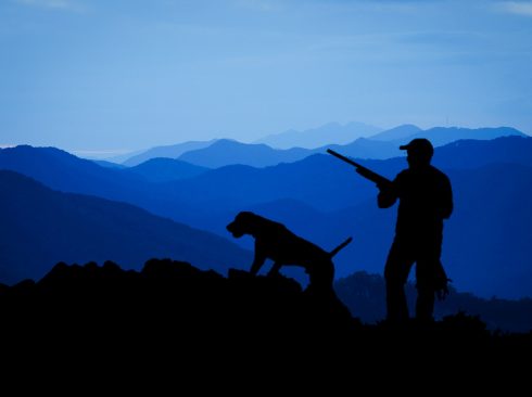 A imagem traz a sombra de um caçador com uma arma nas mãos e um cão em uma paisagem natural de campo e montanhas. Há diferentes tons e sobretons de azul compondo a cena.