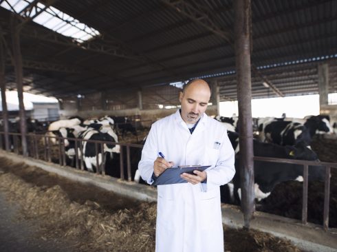 homem careca de cavanhaque usando jaleco branco e escrevendo em uma pasta, dentro de um curral.