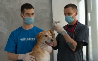 A foto mostra um rapaz segurando um cão e ao lados deles está outro rapaz segurando uma agulha.