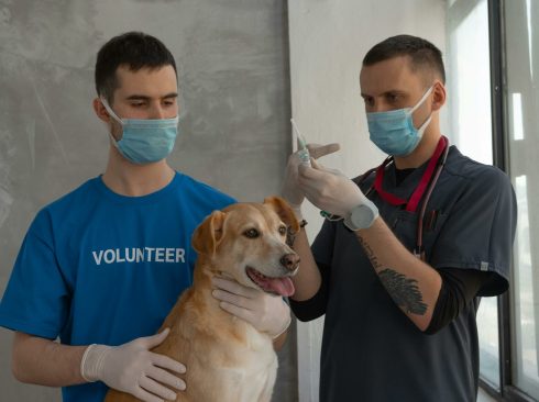 A foto mostra um rapaz segurando um cão e ao lados deles está outro rapaz segurando uma agulha.
