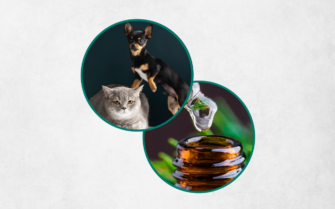 Na imagem, aparece um cachorro, um gato e um frasco de remédio homeopático
