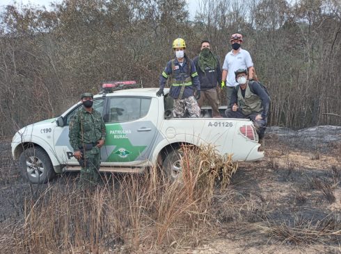 Presidente da Comissão de Resgate Técnico Animal do CRMV-SP e outros dois voluntários estão de pé na caçamba de uma picape da Política Militar Ambiental, outro voluntário está sentado ao lado, e um militar está de pé ao lado do automóvel. Todos estão de máscara e olham para a câmera posando para a foto.