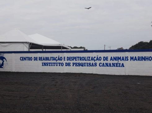 Foto: Divulgação/Portal G1