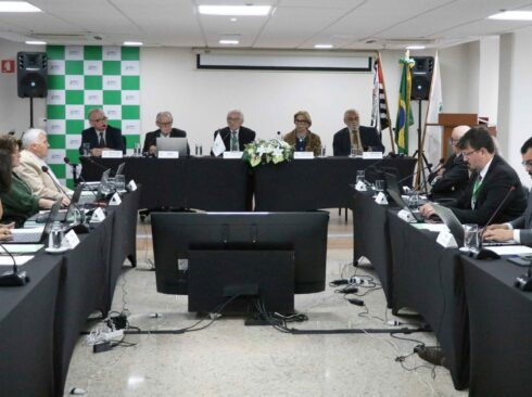 A imagem mostra a reunião com membros da Plenária do CFMV