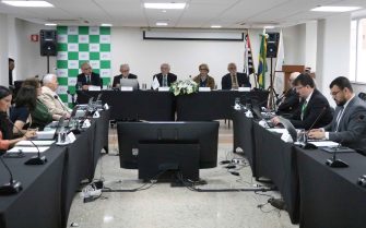 A imagem mostra a reunião com membros da Plenária do CFMV