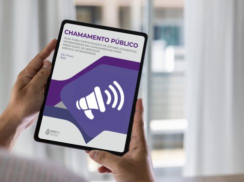 Foto: AdobeStock