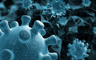 Captura de tela 2026-02-13 162325