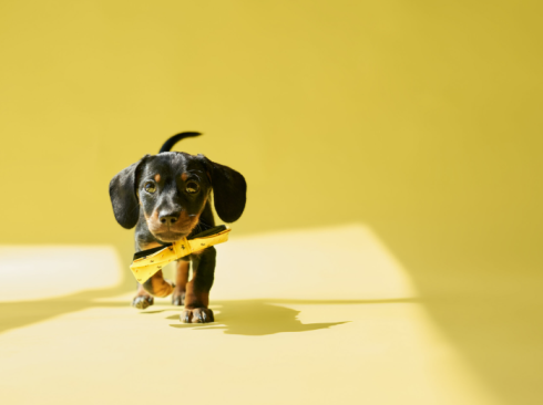 Captura de tela 2026-03-20 174654