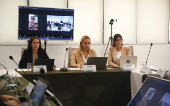 Encontro de Vice-Presidentes Sistema CFMVCRMVs(3)