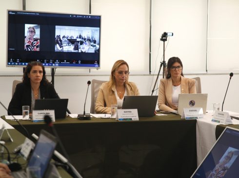 Encontro de Vice-Presidentes Sistema CFMVCRMVs(3)