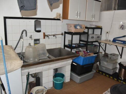 Lavanderia de um residência, com dois tanques, diversos baldes, máquina de lavar, cabos de vassoura, caixas, armários, roupas, e uma bancada