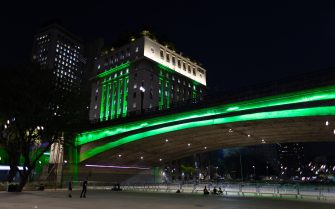 Imagem do Viaduto do Chá com o prédio da Prefeitura Municipal ao fundo, ambos iluminados de verde, em comemoração ao Dia do Médico-veterinário