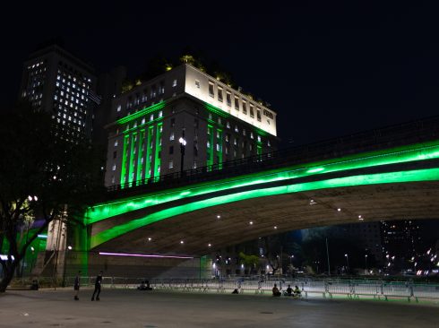 Imagem do Viaduto do Chá com o prédio da Prefeitura Municipal ao fundo, ambos iluminados de verde, em comemoração ao Dia do Médico-veterinário