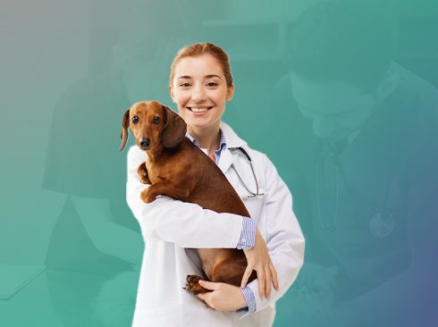 Mulher branca e loira usando jaleco branco e estetoscópio no pescoço segurando cão marrom da raça dachshund em um fundo verde com tons de cinza e roxo.