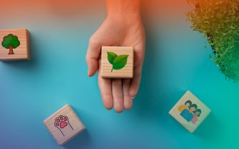 Uma mão estendida com símbolos da Uma Só Saúde, sapude, humana, ambiental, animal e vegetal.