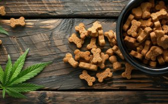 biscoitos caninos dentro de um pote redondo preto e no chão de madeira ao lado de duas folhas de erva cannabis.