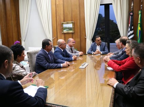 Nove representantes do CRMV-SP, sendo duas mulheres, estão sentados ao entorno de uma mesa retangular de madeira. Na cabeceira, está o vice-governador. Ao fundo, estão as bandeiras do estado de São Paulo e do Brasil.