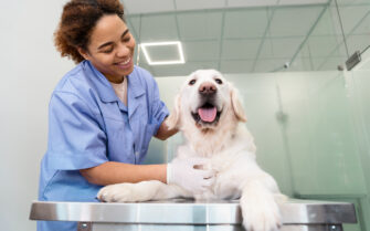 Imagem mostra médica-veterinária com cachorro em cima de mesa impermeável. Ambos estão sorrindo.