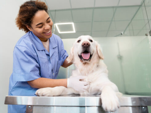 Imagem mostra médica-veterinária com cachorro em cima de mesa impermeável. Ambos estão sorrindo.