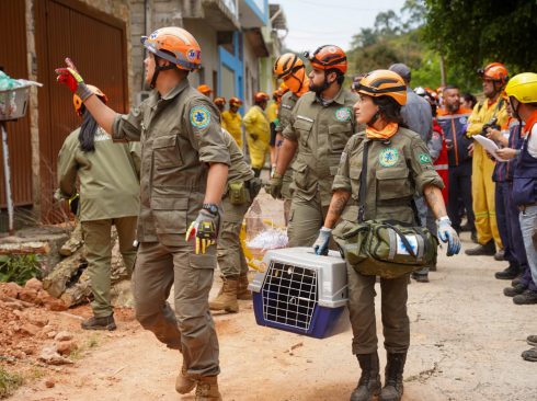 A imagem mostra uma cena de salvamento animal, com duas pessoas segurando gaiola de transporte animal.