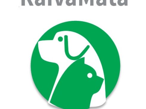 Imagem ilustrativa de um cão e um gato, em verde e branco. Na parte superior está escrito: Raiva Mata