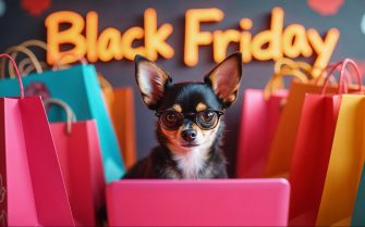 cão pequeno usando óculos faz compras online pelo notebook rodeado de sacolas coloridas de compras. Ao fundo, na parede se lê Black Friday.