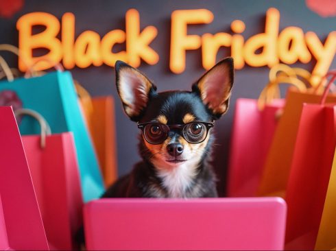 cão pequeno usando óculos faz compras online pelo notebook rodeado de sacolas coloridas de compras. Ao fundo, na parede se lê Black Friday.