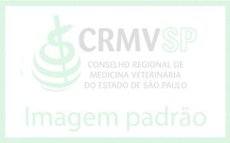 imagem-padrao-crm2