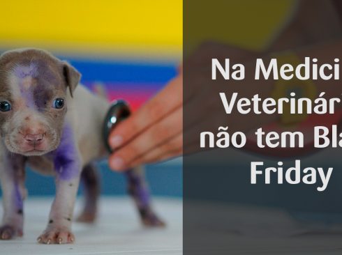 Filhote de cão está em destaque do lado esquerdo da imagem sendo examinado por um médico-veterinário. Ao lado direito, os dizeres: Na Medicina Veterinária não tem Black Friday