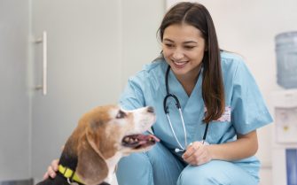 medium-shot-veterinarian-cute-dog
