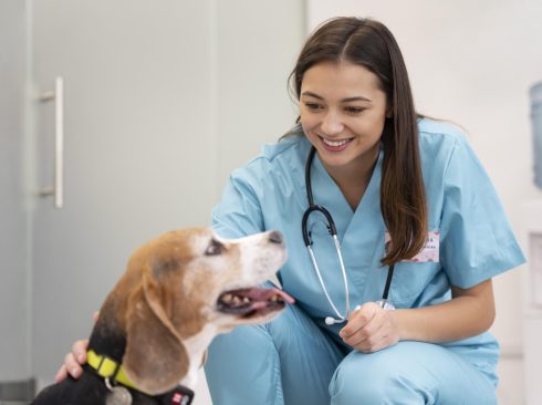 medium-shot-veterinarian-cute-dog